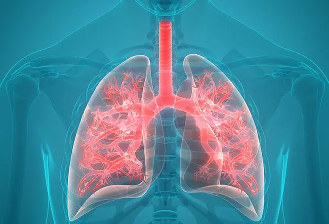 Respiratory Disorders Electrohomeopathy Treatment